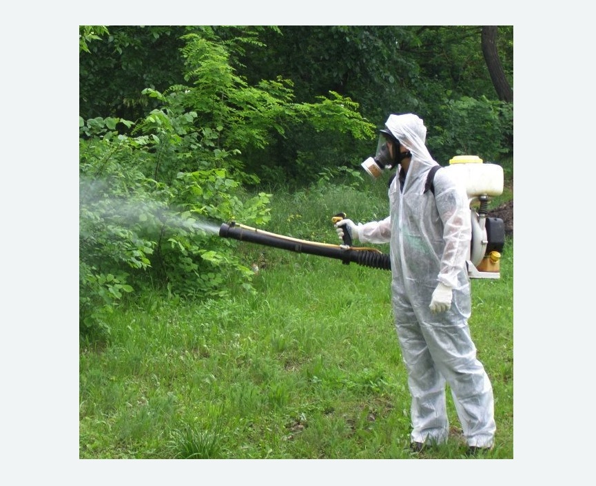 обработка дачи от клещей обработка территории от клещей Старая деревня метро Спб