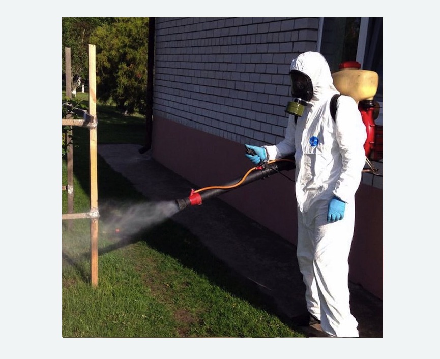 уничтожение клещей на участке травля клещей на участке Старая деревня метро Спб