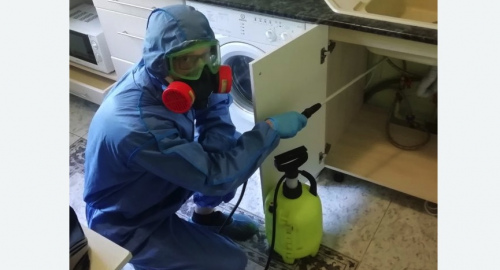 Уничтожение муравьев в квартире. Старая деревня