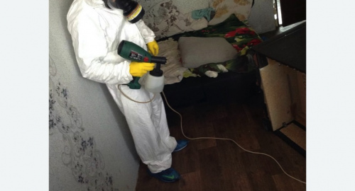 Обработка квартир от насекомых Старая деревня метро Спб