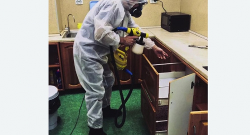 Дезинсекция квартиры. Старая деревня