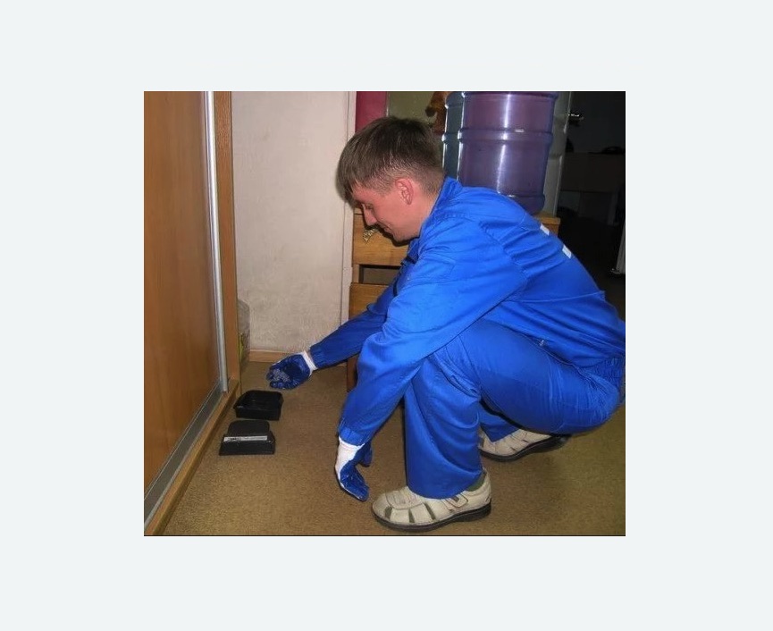 Дератизация крыс Дератизация крыс Старая деревня метро Спб