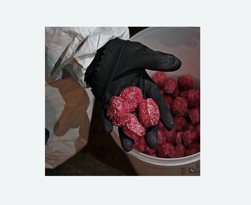 Обработка от крыс Обработка от крыс Старая деревня метро Спб