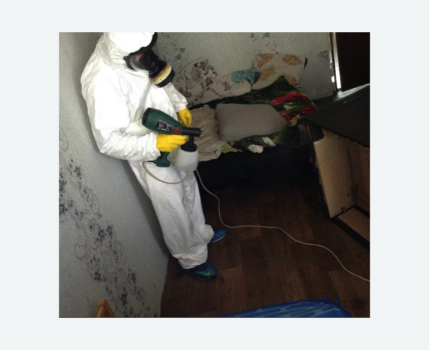 Обработка от насекомых Старая деревня метро Спб Обработка квартиры от насекомых