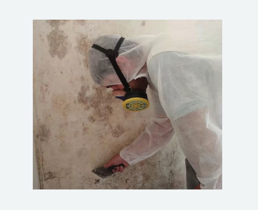 Обработка стен от плесени Обработка стен от плесени Старая деревня метро Спб