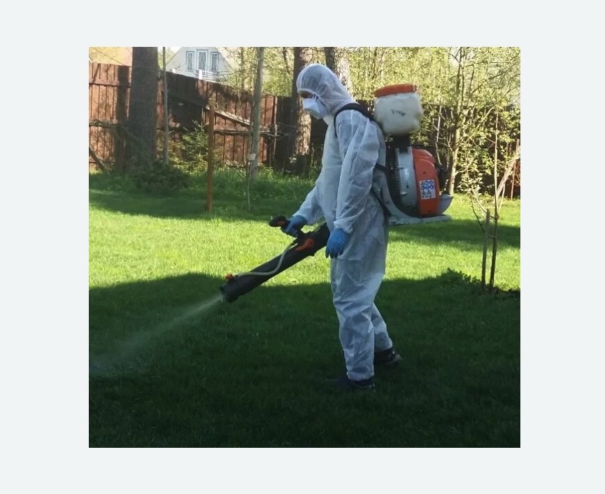 Обработка участка от клещей Старая деревня метро Спб Обработка участка от клещей