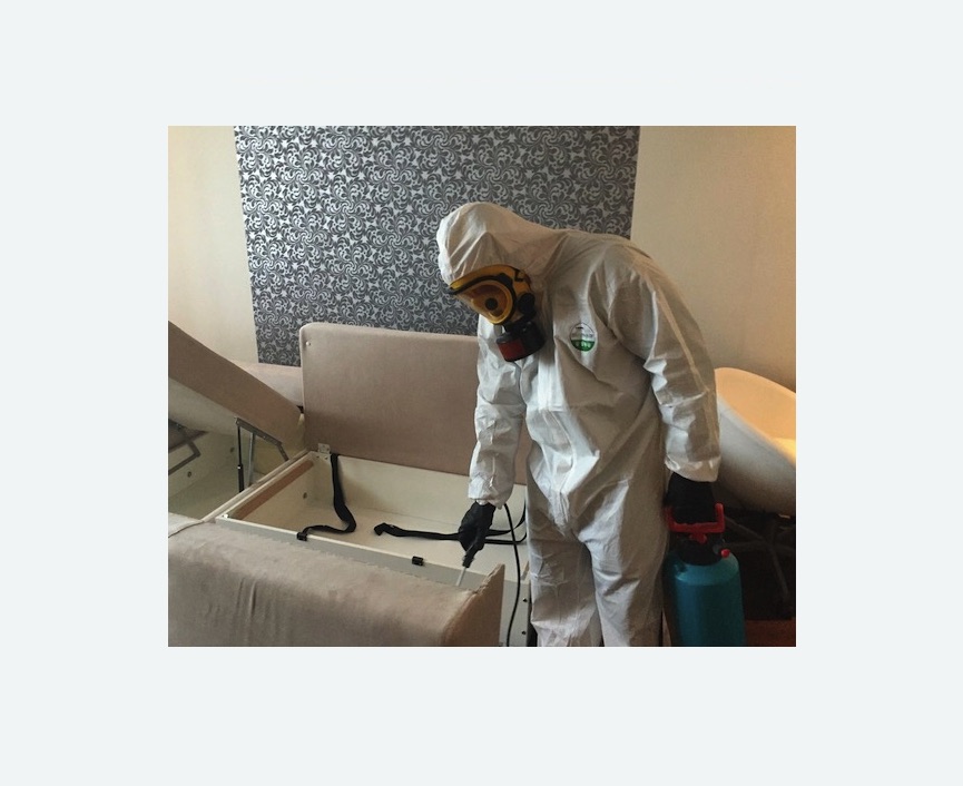 уничтожение клопов в квартире Старая деревня метро Спб