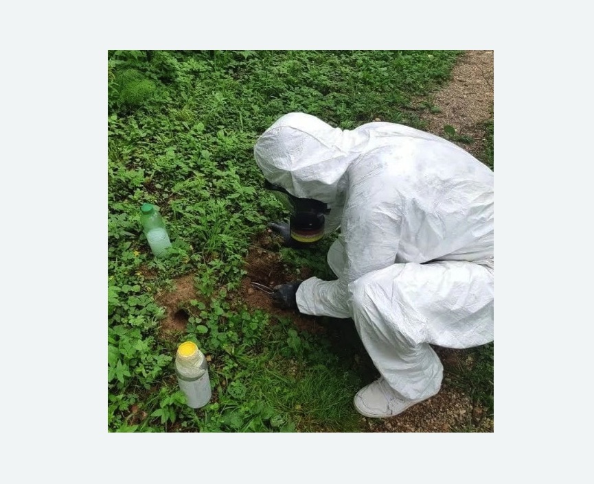 уничтожение кротов на участке уничтожение кротов на участке Старая деревня метро Спб