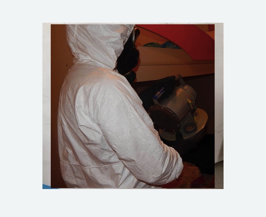 Дезинфекция от муравьев Старая деревня метро Спб