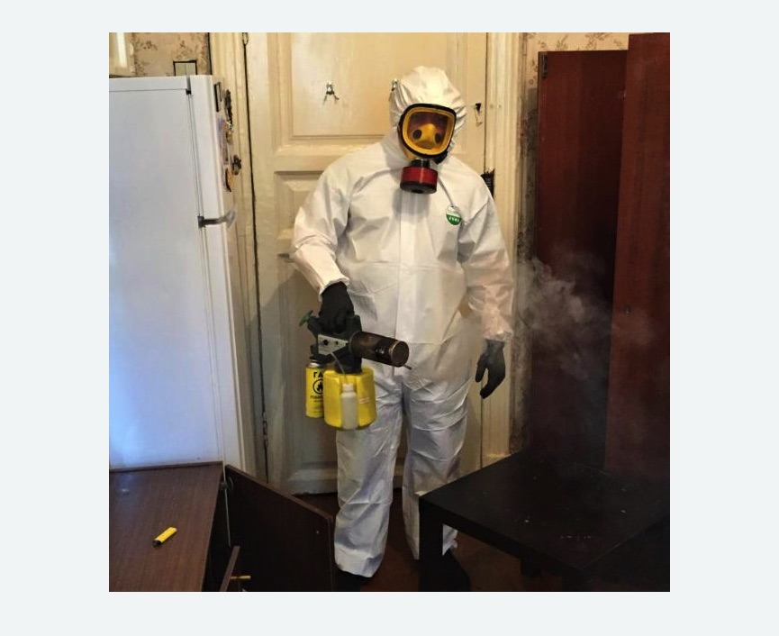 уничтожение муравьев в квартире Старая деревня метро Спб